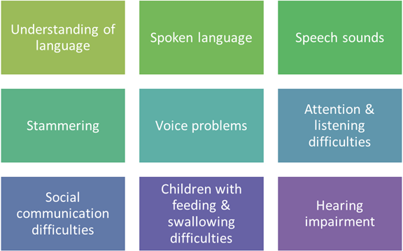 Understanding of language, Spoken language, Speech sounds, Stammering, Voice problems, Attention and listening difficulties, Social communication difficulties, Feeding and swallowing difficulties, Hearing impairment